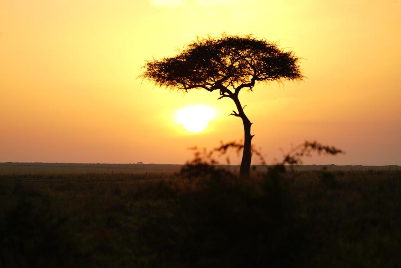 Anantya Serengeti Exterior foto