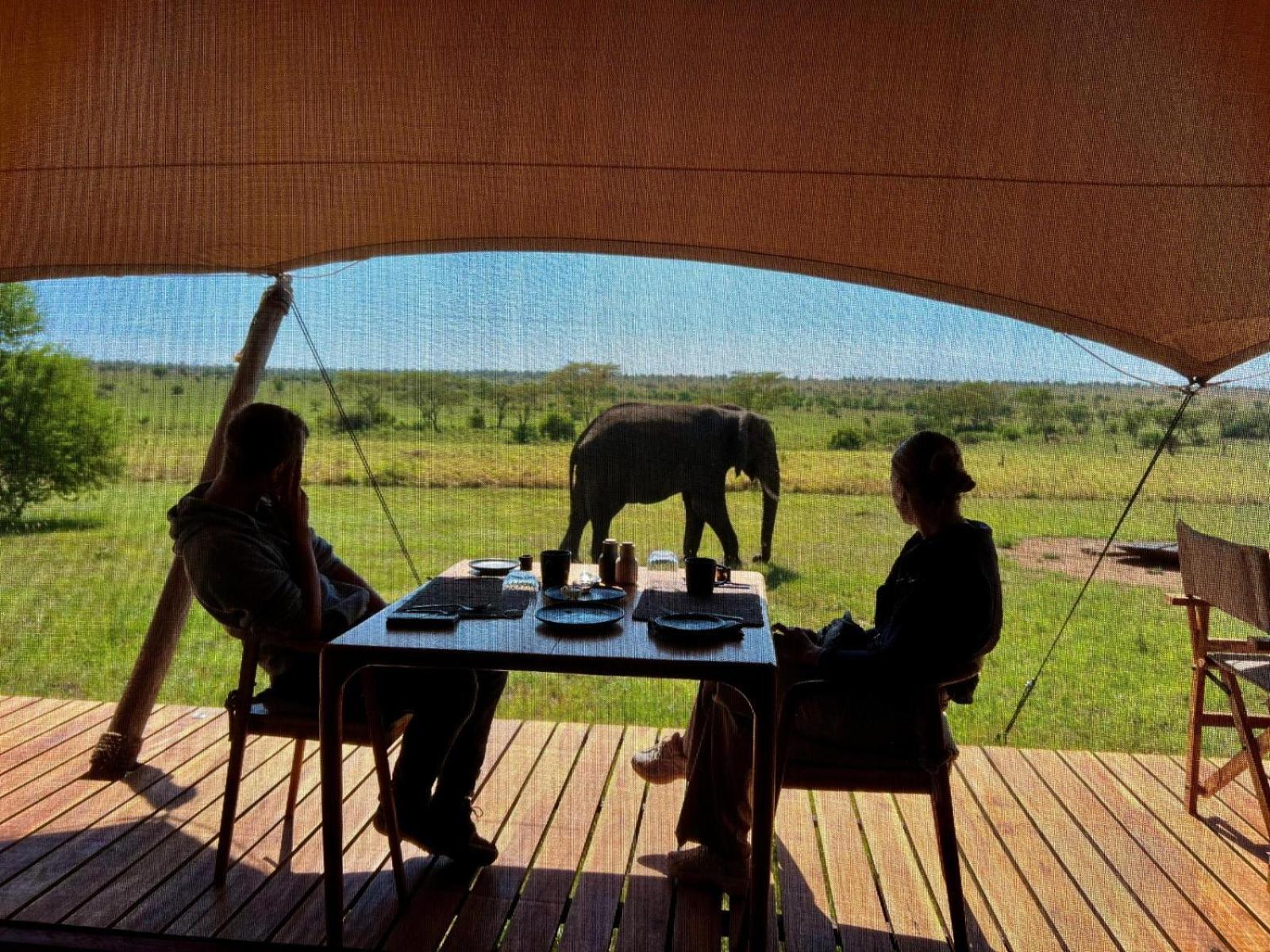 Anantya Serengeti Exterior foto